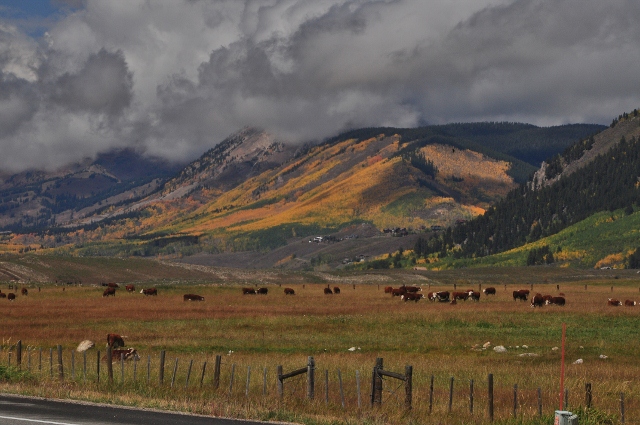 Crested Butte